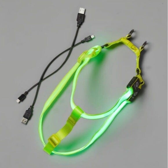 Dog Light Up LED Rechargeable Dog Harness - Picture 4 of 5